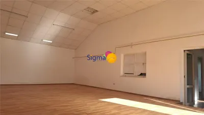 Spatiu Comercial Valea Lupului 100 MP Cu acces direct din DN - foto 4