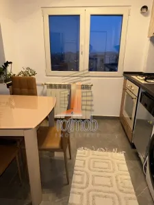 Apartament 2 camere mobilat si utilat, zona Mosilor - foto 7