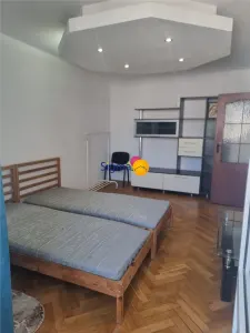 Alexandru, apartament 2 camere decomandat - foto 2