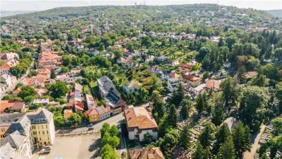 Vila in stil Art Nouveau (Targu Mures, str. Alexandru Papiu Ilarian) - foto 4