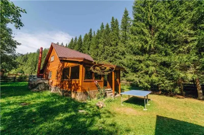 Casa de vacanta (Borzont, jud. Harghita) - Borzont