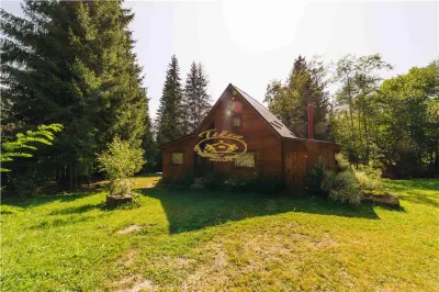 Casa de vacanta (Borzont, jud. Harghita) - foto 17