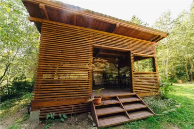 Casa de vacanta (Borzont, jud. Harghita) - foto 19