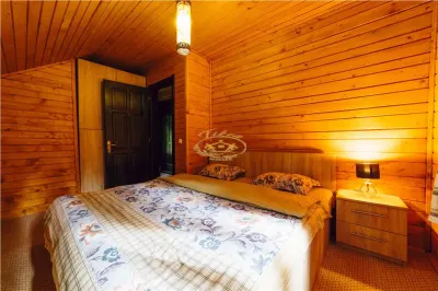 Casa de vacanta (Borzont, jud. Harghita) - foto 12