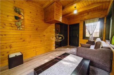 Casa de vacanta (Borzont, jud. Harghita) - foto 6