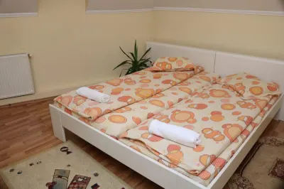 Pensiune in centrul comunei Ditrau, jud. Harghita - foto 4