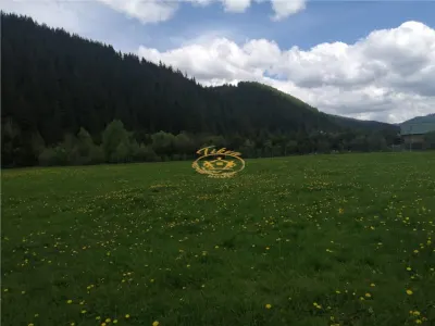 Teren intravilan in Gheorgheni, zona Km 4 - foto 3