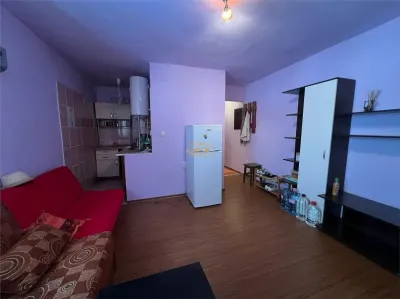 Apartament cu 2 camere (Balan, str. Florilor, nr. 42, bl. B6/2) - foto 2