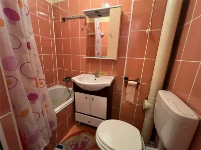 Apartament cu 2 camere (Balan, str. Florilor, nr. 42, bl. B6/2) - foto 7