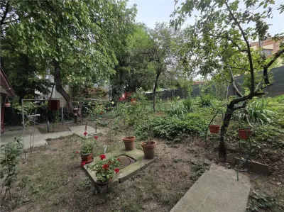 Apartament 3 Camere - Tudor Vladimirescu - foto 2