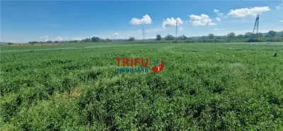 Teren de vanzare zona Soseaua de Centura - foto 2