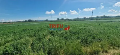 Teren de vanzare zona Soseaua de Centura - foto 5