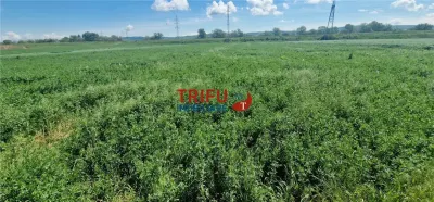 Teren de vanzare zona Soseaua de Centura - foto 6
