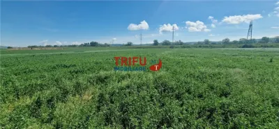 Teren de vanzare zona Soseaua de Centura - foto 7