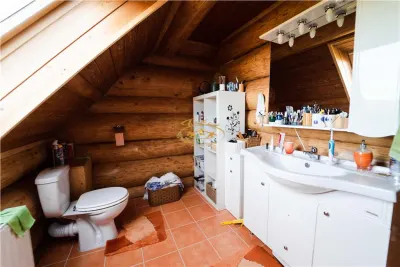 Casa din busteni cu ferma zootehnica si afacere (Tengheler, Com. Ditrau) - foto 15