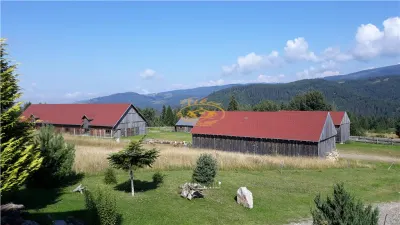 Casa din busteni cu ferma zootehnica si afacere (Tengheler, Com. Ditrau) - foto 24