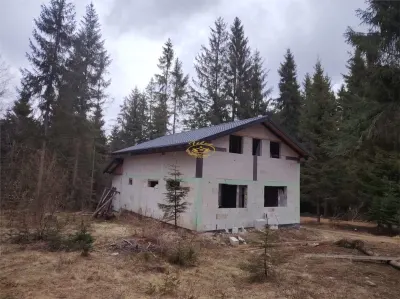 Casa de vacanta nefinalizata (Borzont) - Borzont