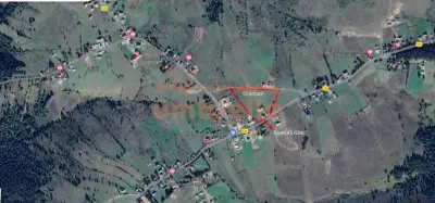 Teren+ constructie de vanzare intravilan 13.915m²/114€ m² Balcesti-Belis - foto 2