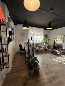 Spatiu Birouri cu 5 camere | Apartament | ROMANA - foto 16