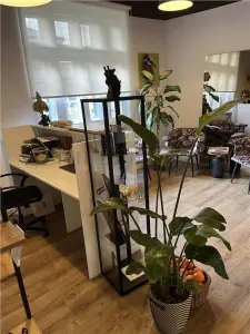 Spatiu Birouri cu 5 camere | Apartament | ROMANA - foto 18