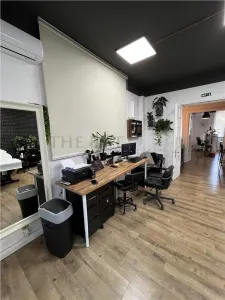 Spatiu Birouri cu 5 camere | Apartament | ROMANA - foto 4