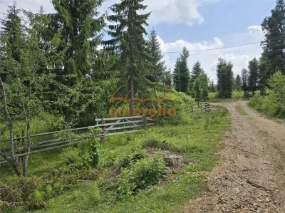 Teren de vanzare intravilan Dealu Negru, com.Calatele, jud. Cluj 1.500m²/25€ m² - foto 1