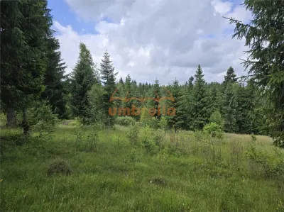 Teren de vanzare intravilan Dealu Negru, com.Calatele, jud. Cluj 1.500m²/25€ m² - foto 5