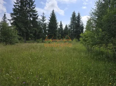 Teren de vanzare intravilan Dealu Negru, com.Calatele, jud. Cluj 1.500m²/25€ m² - foto 9
