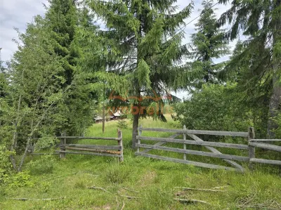 Teren de vanzare intravilan Dealu Negru, com.Calatele, jud. Cluj 1.500m²/25€ m² - foto 10