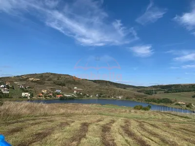 Teren de vanzare langa lacul Chinteni Intravilan 9.959m²/40€ m² - foto 1