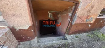 Casa de vanzare in Bucerdea Vinoasa 1600mp teren - foto 4