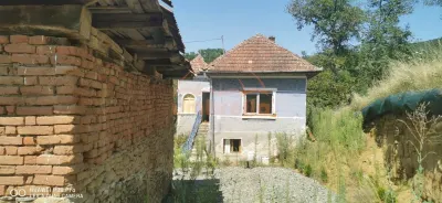 De vanzare casa si grajd +3000m² teren livada in Sumurducu - Sanpaul - foto 7