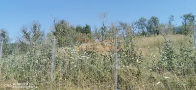 De vanzare casa si grajd +3000m² teren livada in Sumurducu - Sanpaul - foto 10