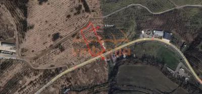 Teren intravilan de vanzare in Baciu 9.880m²/92€ m² - foto 3