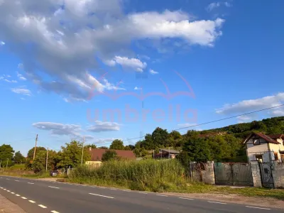 Teren de vanzare 4.300m²/40€ m², Mera-Baciu pt 2 unitati locative PUZ si Certificat de urbanism! - foto 4