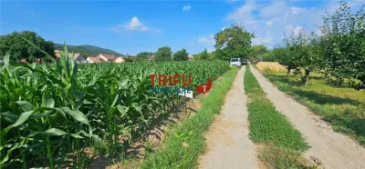 Teren intravilan in Sard 928 - Sard