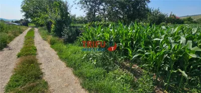Teren intravilan in Sard 928 - foto 3