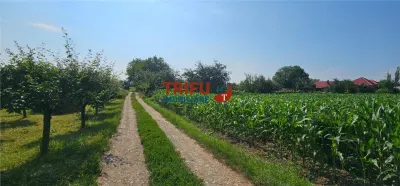 Teren intravilan in Sard 928 - foto 6