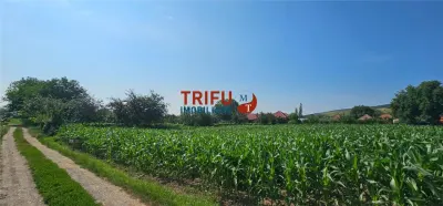 Teren intravilan in Sard 928 - foto 8