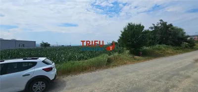 Teren Intravilan Soseaua De Centura !3500mp - Alba Iulia