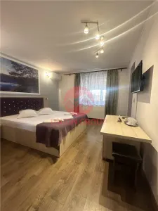 Pensiune Moderna si Profitabila in Vama Veche - Business la Cheie - foto 4