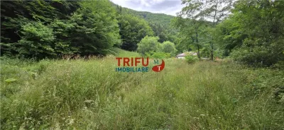 Teren ideal pentru cabană sau pensiune în Poiana Galdei - foto 12