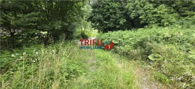 Teren ideal pentru cabană sau pensiune în Poiana Galdei - foto 13