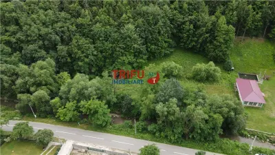 Teren ideal pentru cabană sau pensiune în Poiana Galdei - foto 14