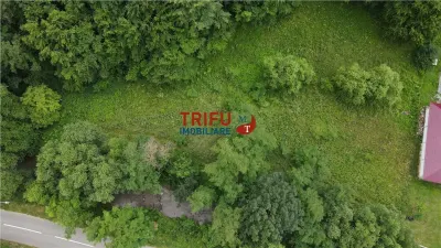 Teren ideal pentru cabană sau pensiune în Poiana Galdei - foto 15