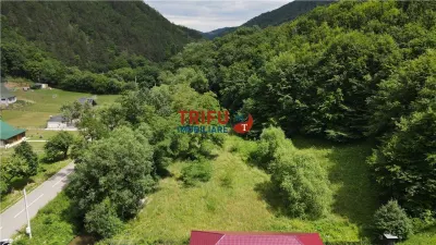 Teren ideal pentru cabană sau pensiune în Poiana Galdei - foto 16