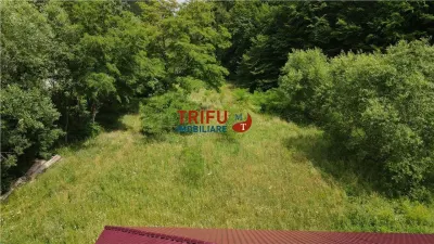 Teren ideal pentru cabană sau pensiune în Poiana Galdei - foto 17