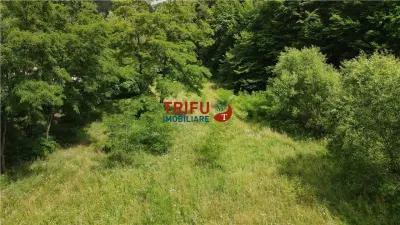 Teren ideal pentru cabană sau pensiune în Poiana Galdei - foto 18
