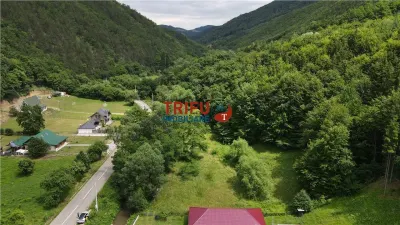 Teren ideal pentru cabană sau pensiune în Poiana Galdei - foto 3