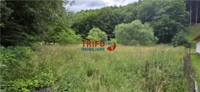 Teren ideal pentru cabană sau pensiune în Poiana Galdei - foto 7